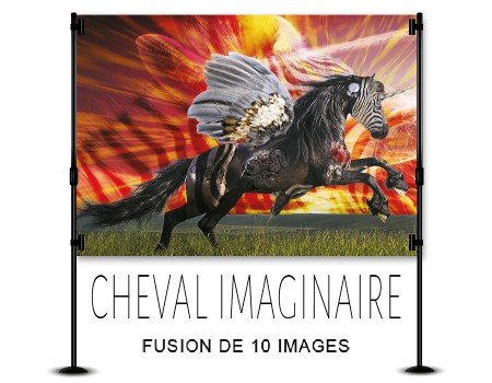 Cheval hybride imaginaire